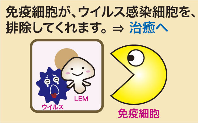 LEMとウイルス