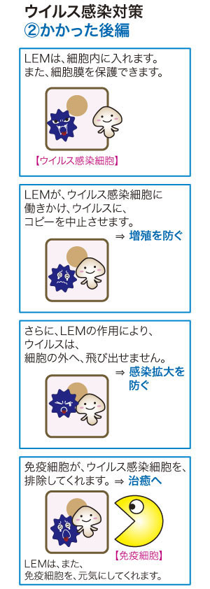 ウイルス感染対策 2 かかった後編